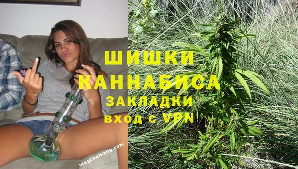 дживик Балахна